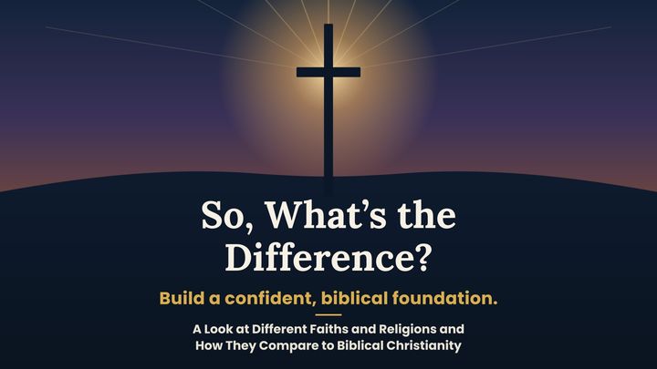 What's the Difference?